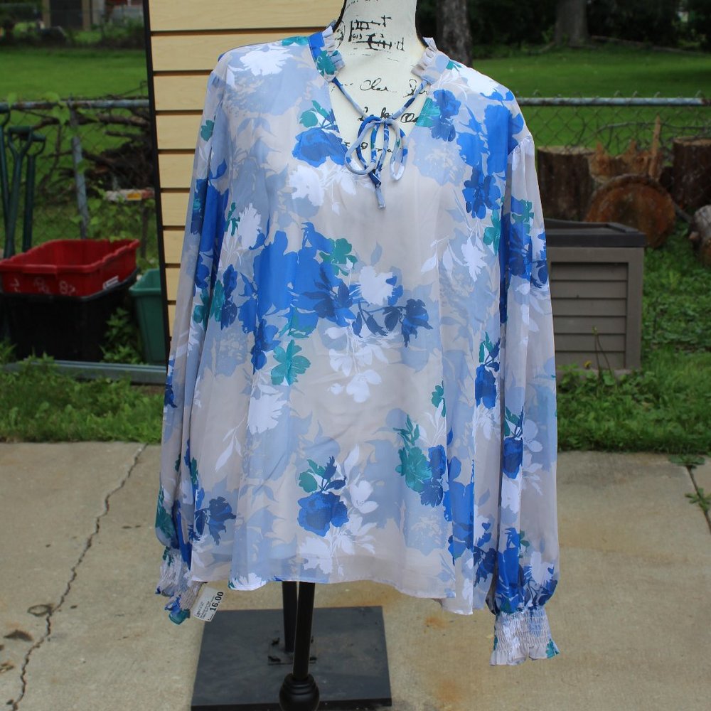 Ophelia Roe OR Ruch Sleeve Top